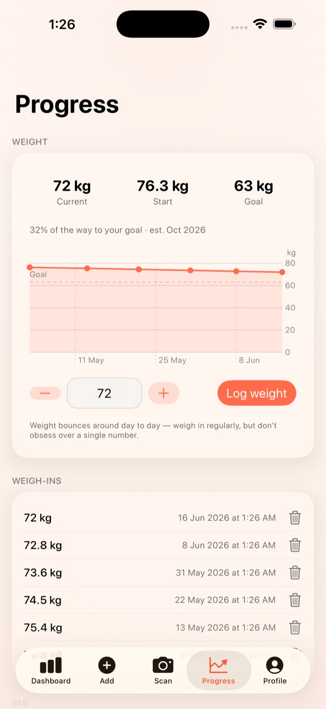 Bocco progress — daily budget and weight trend
